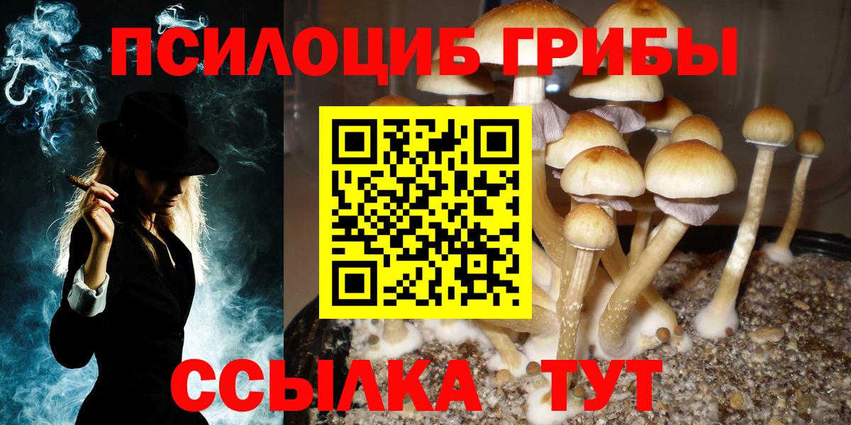 Псилоцибиновые грибы ЛСД  Вход с VPN  Уварово  Псилоцибиновые грибы Cubensis 