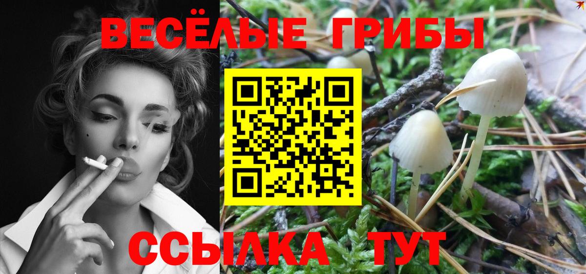 Галлюциногенные грибы мухоморы Уварово